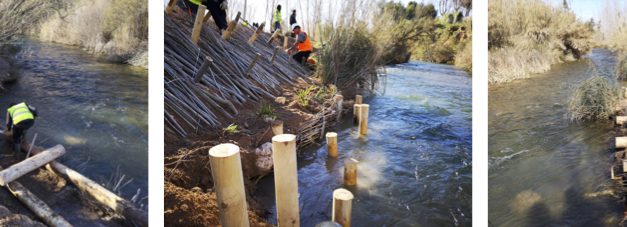 CONFERENCIA: Bioingeniería del paisaje y diversidad funcional en la restauración fluvial
