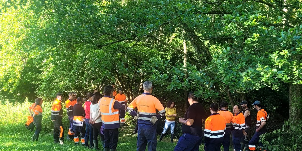 Curso y taller práctico de introducción a la Bioingeniería en ámbito fluvial