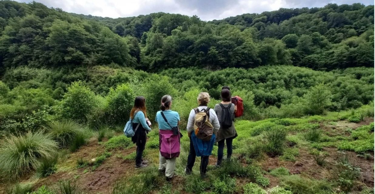 Curso: PROYECTO DE RESTAURACIÓN DE ECOSISTEMAS Microcredencial UPV EHU