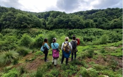Curso: PROYECTO DE RESTAURACIÓN DE ECOSISTEMAS Microcredencial UPV EHU