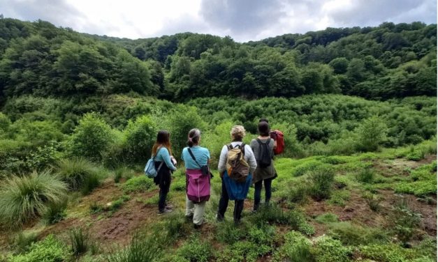 Curso: PROYECTO DE RESTAURACIÓN DE ECOSISTEMAS Microcredencial UPV EHU